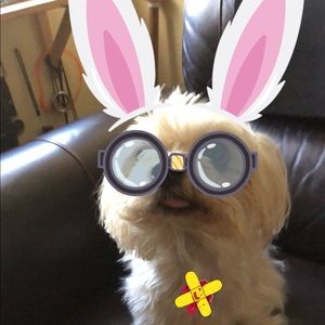 Meet your Posher, Rosa